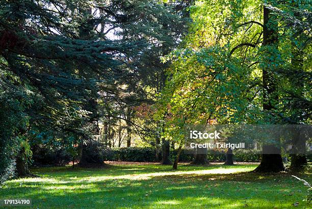 Photo libre de droit de Oieregi Bertiz Lordship Navarra Lespagne banque d'images et plus d'images libres de droit de Arbre - Arbre, Automne, Destination de voyage