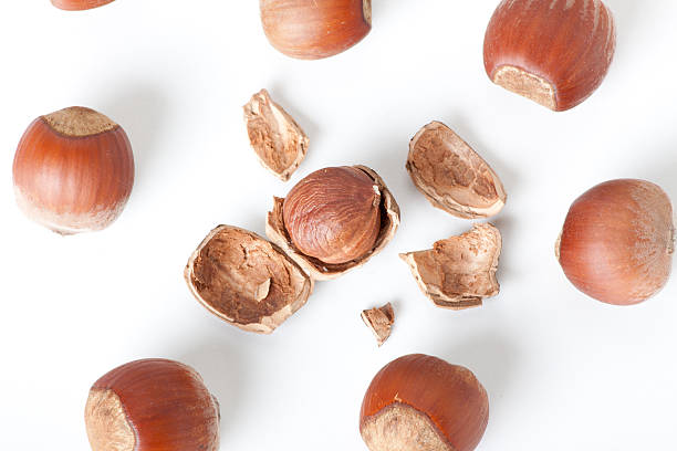 istock peeled hazelnut among unpeeled, isolated on white 179134633