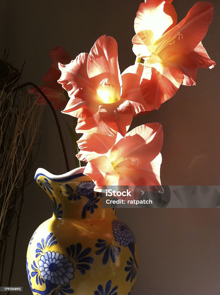 Gladiolo in un vaso - Foto stock royalty-free di Blu