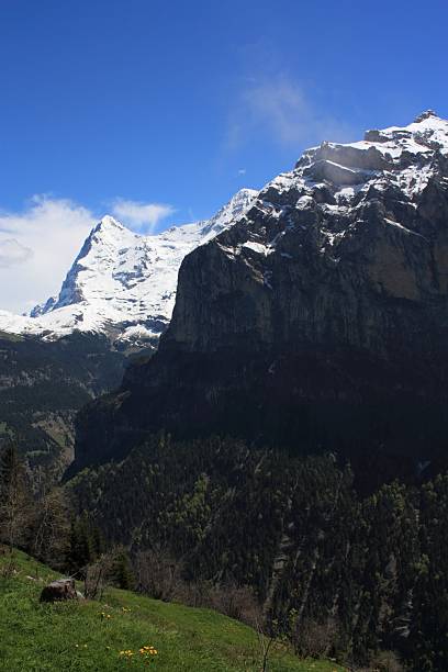 alpes suizos - switzerland interlaken schreckhorn mountain fotografías e imágenes de stock