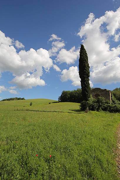istock Hills of Chianti 179136440