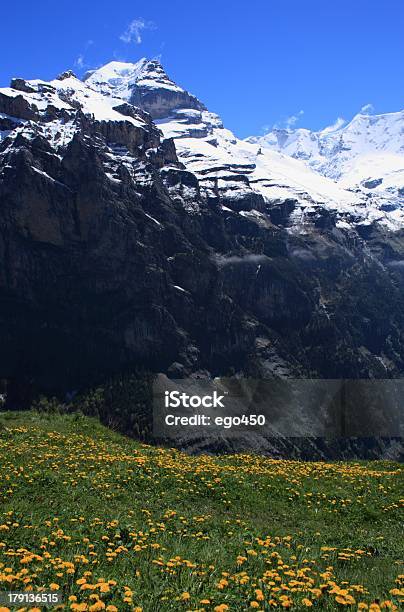 스위스 알프스 0명에 대한 스톡 사진 및 기타 이미지 - 0명, 경관, 과꽃