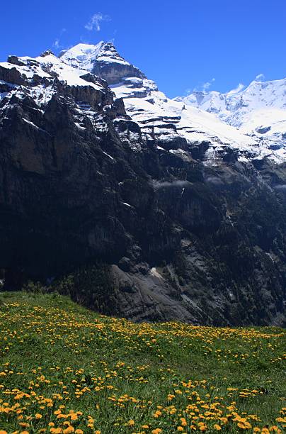 швейцарские альпы - switzerland interlaken schreckhorn mountain стоковые фото и изображения