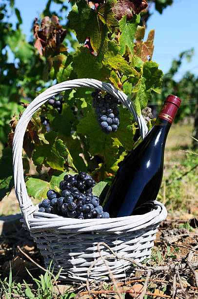 istock Bottle of red wine 179136656