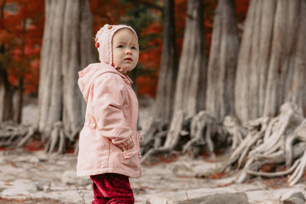 child girl walking and playing in a autumnal park. little girl in warm clothes walking in the park - lone cypress tree imagens e fotografias de stock
