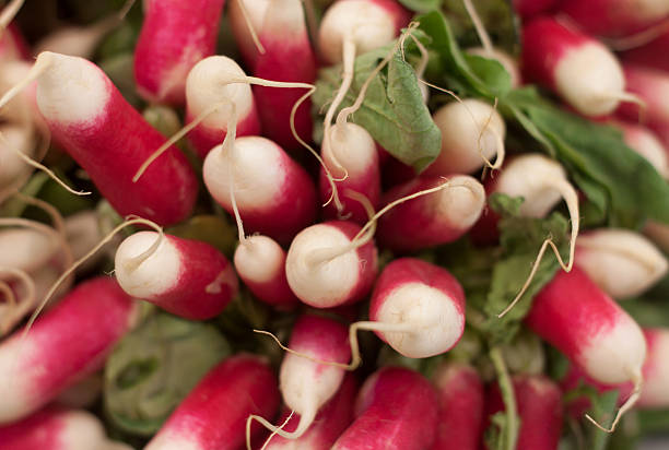 istock Lovely bunch of radishes 179137031