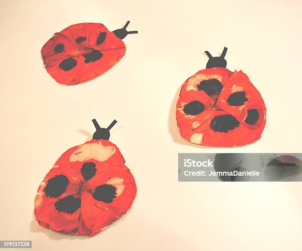 Ladybirds - ケシのストックフォトや画像を多数ご用意 - ケシ, テントウムシ, 一輪の花