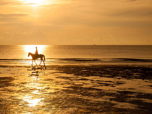 istock Sunrise at the beach 179137466
