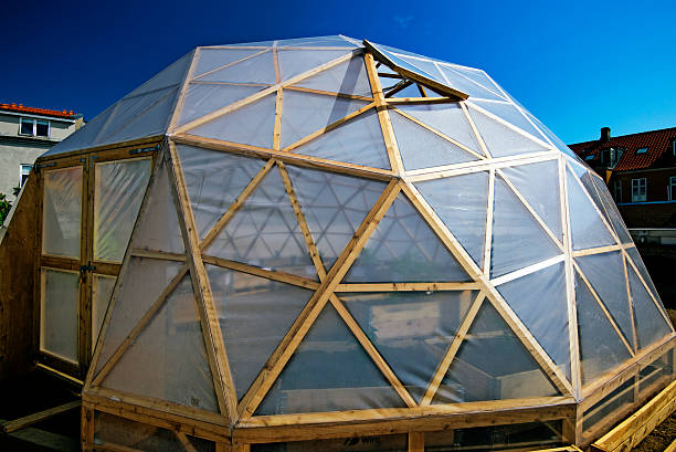 istock Homemade greenhouse 179138108
