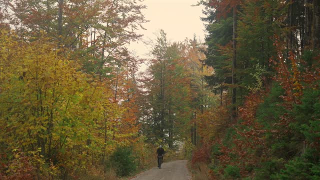 Male cyclist riding uphill on gravel bike view from back in autumn in forest with yellow leaves in mountains of Germany, Bavaria region. Bikepacker bicyclist in mountainous countryside in woods fall.
