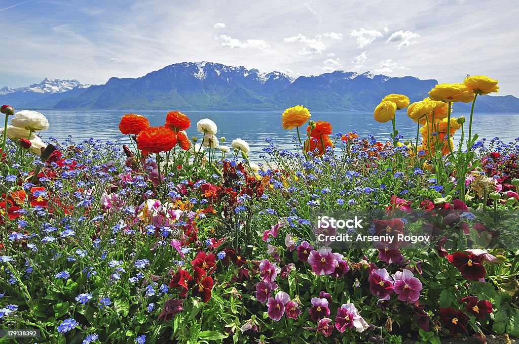 Schweizer Landschaft - Lizenzfrei Berg Stock-Foto