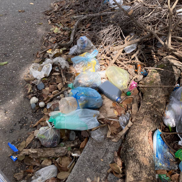 istock Garbage in the  street 1791384103