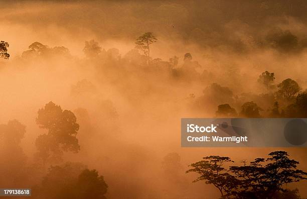 Foto de Floresta Tropical Tailândia e mais fotos de stock de National Geographic Society - National Geographic Society, Ambientalista, Conservacionista