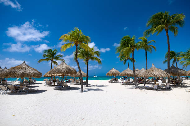istock Palm trees and Palapas on Palm Beach, Aruba 1791388510
