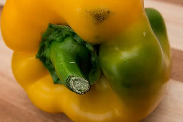 Close-up of a pepper