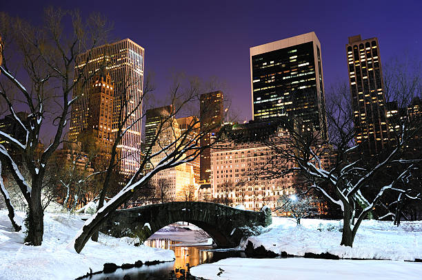 new york city manhattan panorama al crepuscolo central park - new york city new york state skyline winter foto e immagini stock