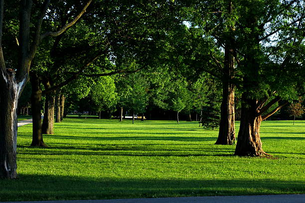 istock Morning in the park 179139667