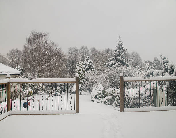 istock Fresh snow in a garden, view through railings 179139675