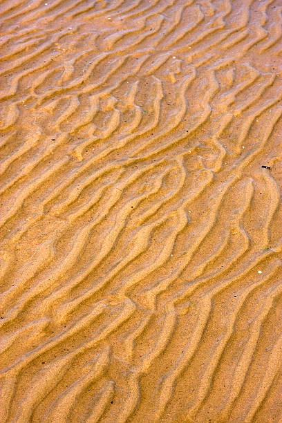 istock shore texture and curved line in rio de la plata 179139873