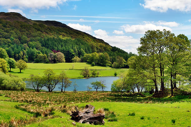istock Scenic view of Loughrigg Tarn 179140103