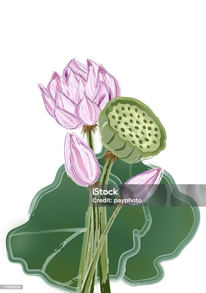 Abstracto Flor de loto y de semillas - Foto de stock de Abstracto libre de derechos