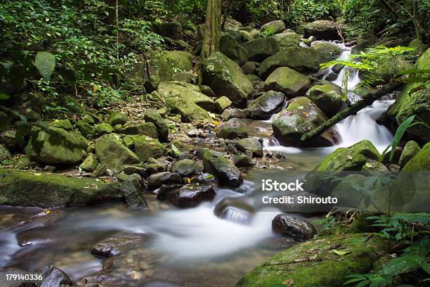 Flusso Nella Foresta Pluviale - Fotografie stock e altre immagini di Acqua - Acqua, Ambientazione esterna, Colore verde