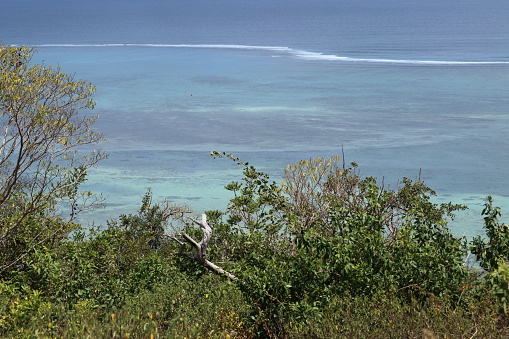 Vegetation and blue lagoon south of Le Morne