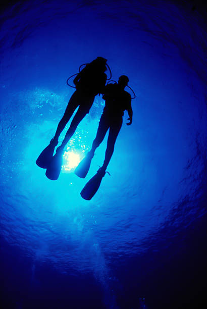 two divers at their training at the sandy seabed in clear water from egypt