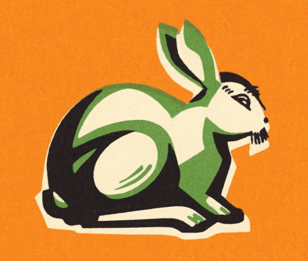 Rabbit on an Orange Background