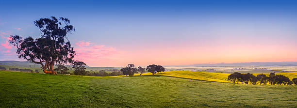 新鮮なフィールド - valley green grass landscape ストックフォトと画像