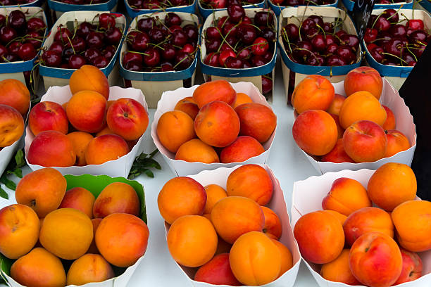 istock Ripe Nectarines and Cherries in the Basket 179141756