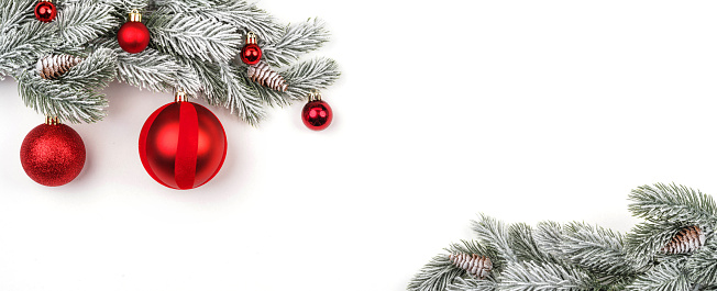 snow-covered fir branch with red balls on a white background