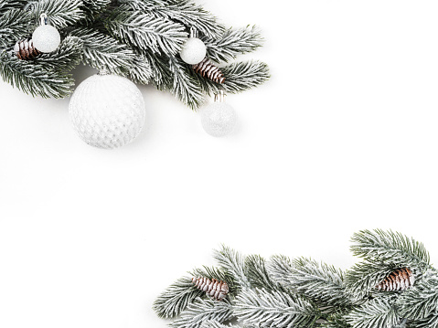snow-covered fir branch with white balls on a white background