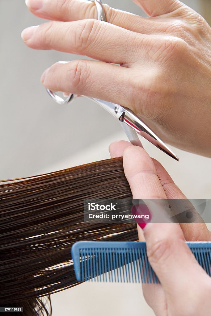 hair cutting a woman cutting hair, close-up Adult Stock Photo