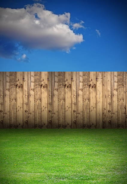 istock backyard with wooden fence 179142066