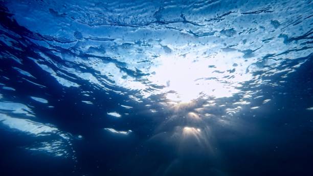 istock Looking up on the blue sky and shining sun from the sea bottom. 1791421018