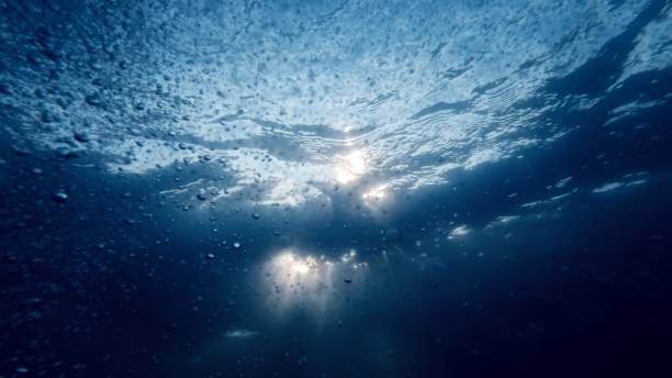 istock View from under the sea bottom on sun rays shining through water surface. Rising air bubbles sparkling and glittering in light 1791421025