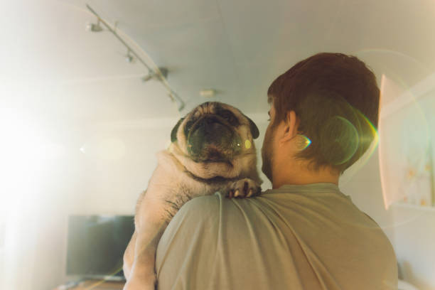 A male embracing with a pug and enjoying a simple weekend at home looking at the sun