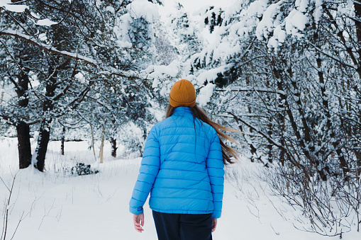 Rear View of female in blue jacket walking in majestic forest covered by the deep snow during Christmas time in Scandinavia