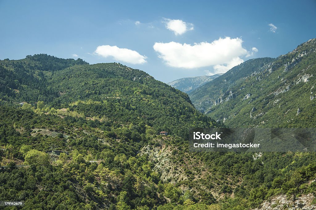 Vista montagne-Parco Nazionale Olympus - Foto stock royalty-free di Albero