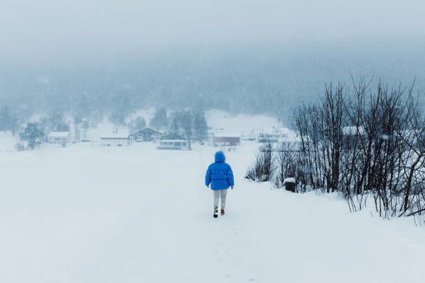 donna in cappotto blu che ammira la fiaba invernale che cammina nel villaggio scandinavo durante una forte nevicata - rear view winter blizzard nordic countries foto e immagini stock