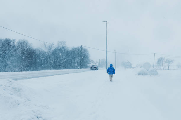 donna in cappotto blu che ammira l'inverno che cammina sulla strada nel villaggio scandinavo durante una pesante nevicata - rear view winter blizzard nordic countries foto e immagini stock