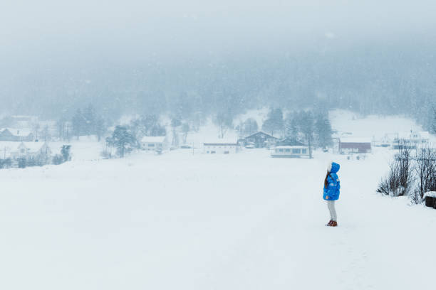 donna in cappotto blu che ammira la fiaba invernale che cammina nel villaggio scandinavo durante una forte nevicata - rear view winter blizzard nordic countries foto e immagini stock