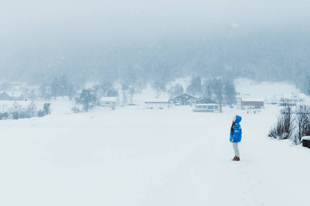 大雪の中、スカンジナビアの村を歩く冬のおとぎ話に感嘆する青いコートの女性 - rear view winter blizzard nordic countries ストックフォトと画像
