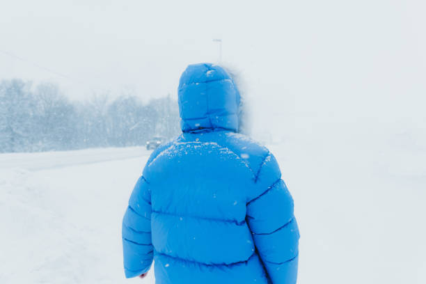 donna in cappotto blu che ammira l'inverno che cammina sulla strada nel villaggio scandinavo durante una pesante nevicata - rear view winter blizzard nordic countries foto e immagini stock