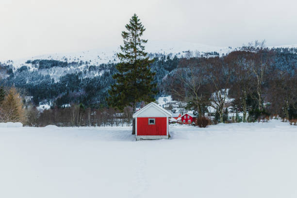 Scenic view of the old wooden hut with the green pine Christmas tree and snowcapped mountain peaks in rural area of Norway, Scandinavia