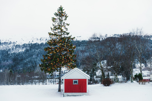 Scenic view of the old wooden hut with the green pine tree in Christmas lights and snowcapped mountain peaks in rural area of Norway, Scandinavia