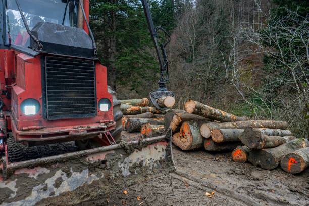 istock Specialized tractor forwarder folding wood in the forest. The Carpathians, Poland. 1791445437