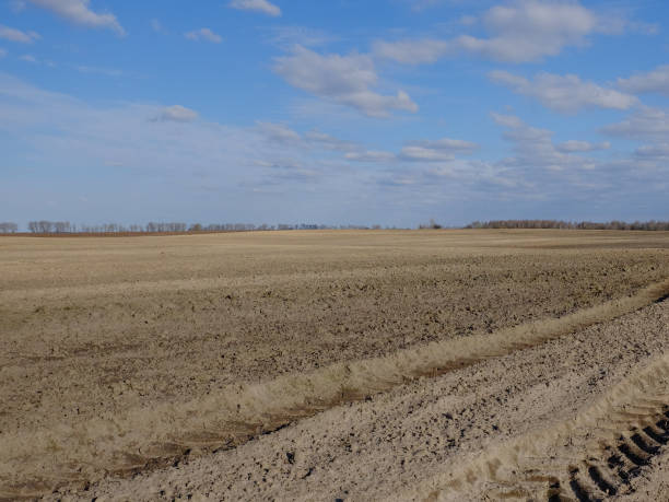 istock Blue sky over a plowed field. Spring landscape. Agriculture. 1791445981
