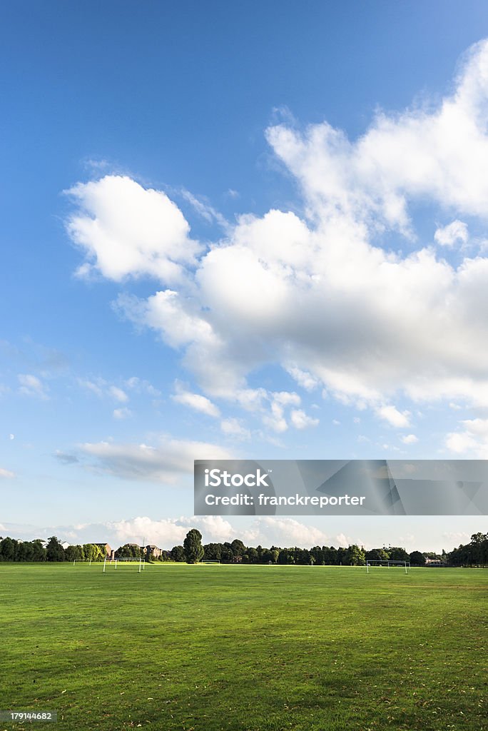 Parco estivo nel derbyshire - Foto stock royalty-free di Albero